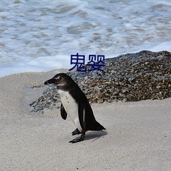 鬼(鬼)婴