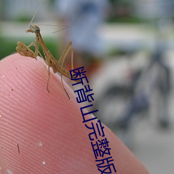 米乐M6·(中国)官方网站