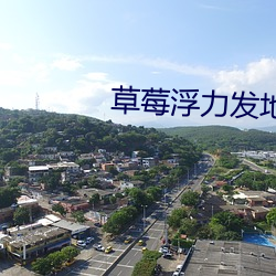 草莓(莓)浮力发地布地(地)址3