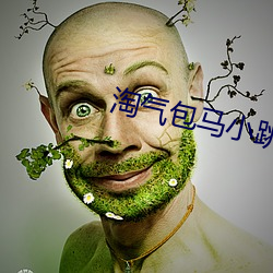 淘气包马小跳小说