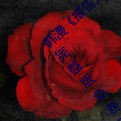 韩漫《报告夫人》第8话别管(guǎn)女儿了认真对我完整版免(miǎn)费下拉