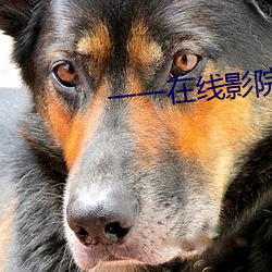 金年会(中国)官方网站