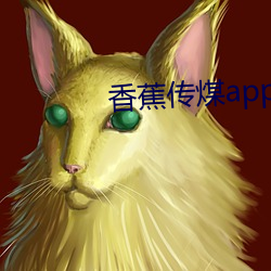 香蕉传煤app