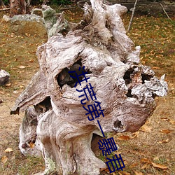 尊龙凯时·(中国)官方网站
