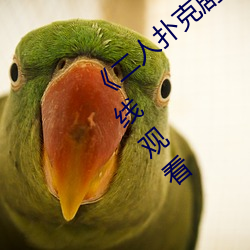˿ǿ˶Ƶ̡̳ԭԢĿ