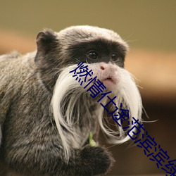 燃情仕途范滨滨绿帽子
