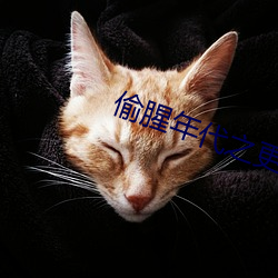 偷腥年代之更新吧