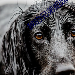 我的兄弟姐妹之弟弟篇