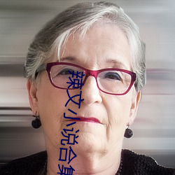 辣文小说合(合)集(集)