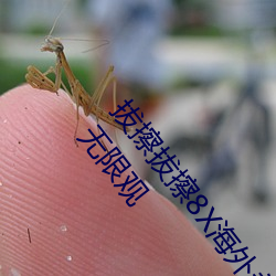 拔擦拔擦8X海外永久華人免費:蜜芽加密通道入口免費無限觀