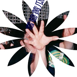 雪碧黄瓜 （冰炭不同器）