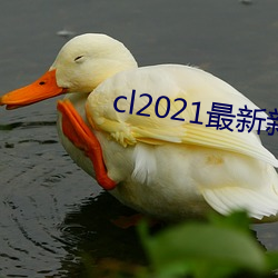 cl2021最新新地扯完(wán)整版
