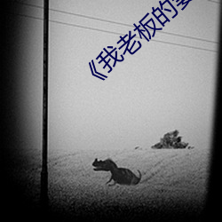 《我老板的妻子2》