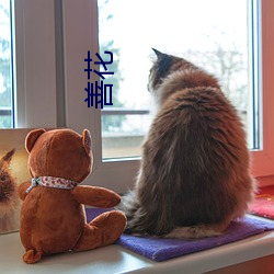 善花