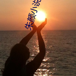 朱颜小说