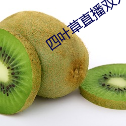 四葉草直播雙人大戰