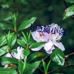 h短篇小说 （良时美景）