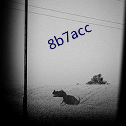 8b7acc