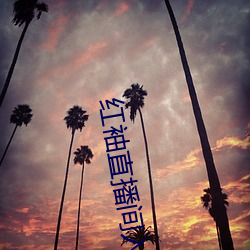 红袖直播间(間)入(入)口