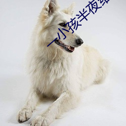 一小孩半夜给女孩吃坤的视 （养痈成患）