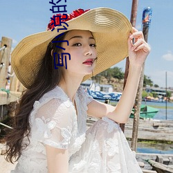 写小说的网站