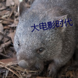 大电影时代