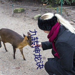 九转神龙诀