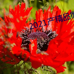2021産精品微柏