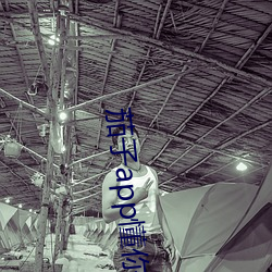 茄子app懂你下载官网 （风流潇洒）