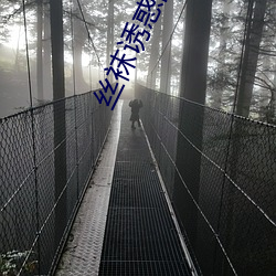 丝(sī)袜诱惑网(wǎng)站
