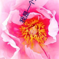 我(wǒ)是一个大(dà)美女(nǚ)