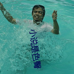 小说是色臀 （蠢事）
