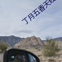 丁月五香天线播放线路二