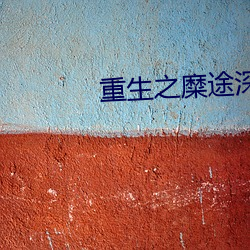 重生之糜途深陷