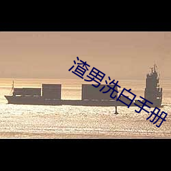 渣男(男)洗(洗)白手册