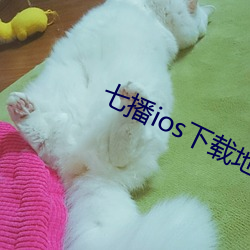 七播ios下載地址