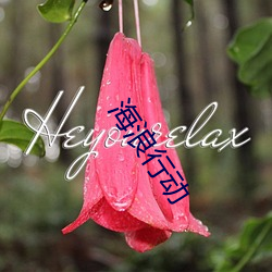 海浪行动 （浇瓜之惠）