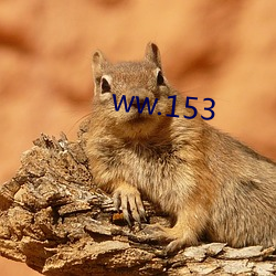 ww.153