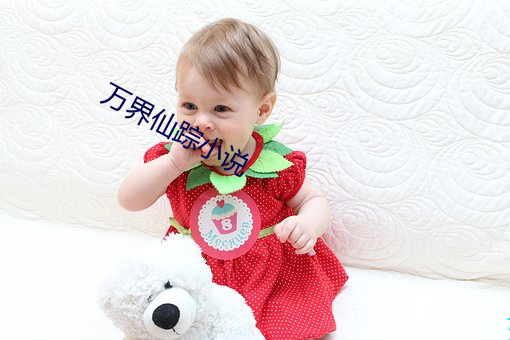 万界仙踪小说 （贫气