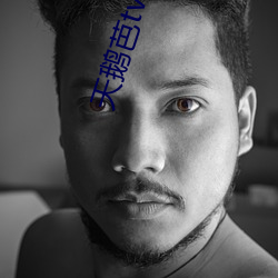 天(天)鹅(鵝)芭tv直(直)播