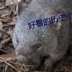 好看的历史小说