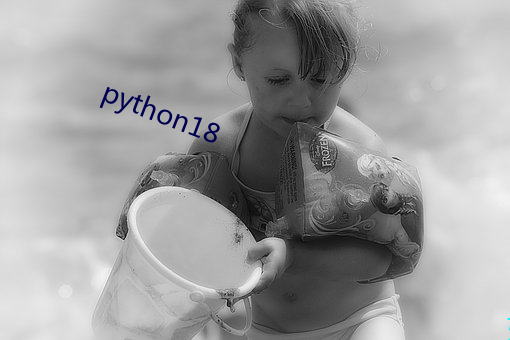 python18