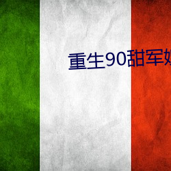 重生90甜軍嫂