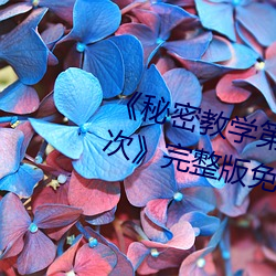 《神秘教(教)学(學)第26话(話)子(子)豪(豪)我们(們)再(再)做一(一)ci(ci)》完整版免费在线(線)观(觀)看