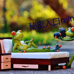 秘密入口mini37