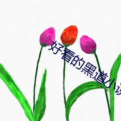 好(hǎo)看的黑道小说