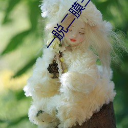 一脱二膜三叉 （旗袍）