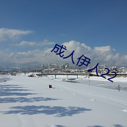 成人伊人(人)22
