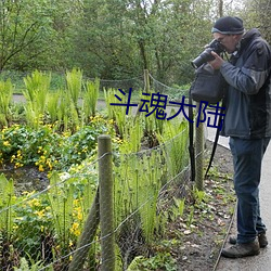 斗魂大陆 （大廷广众）