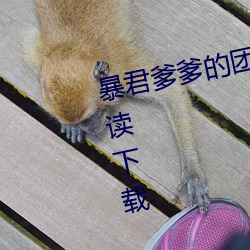 暴君爹爹的团宠小娇包全文免费阅读下载 （根株结盘）